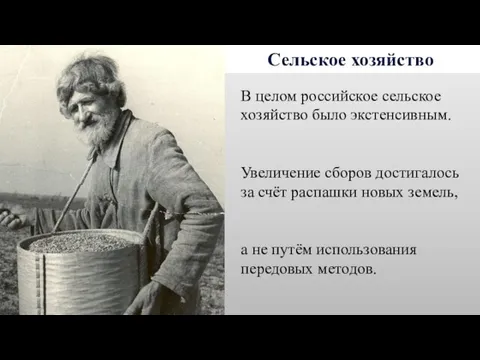 Сельское хозяйство В целом российское сельское хозяйство было экстенсивным. Увеличение сборов