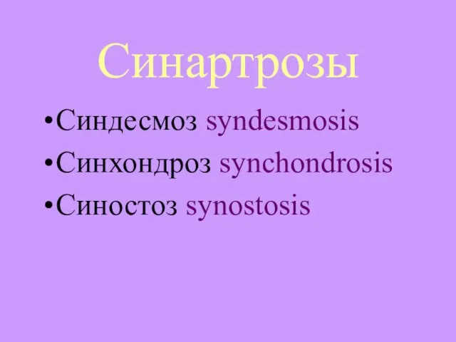 Синартрозы Синдесмоз syndesmosis Синхондроз synchondrosis Синостоз synostosis