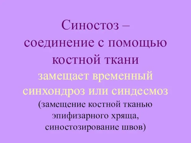 Синостоз – соединение с помощью костной ткани замещает временный синхондроз или