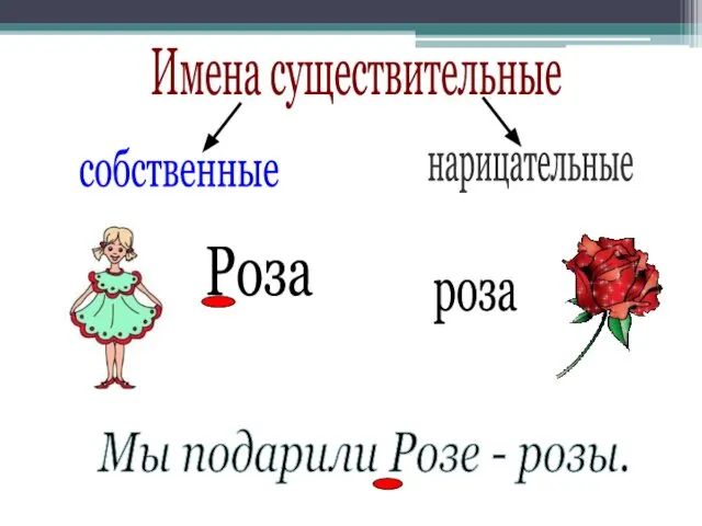 Имена существительные собственные нарицательные Роза роза . Мы подарили Розе - розы. .