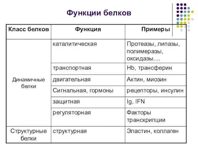 Функции белков