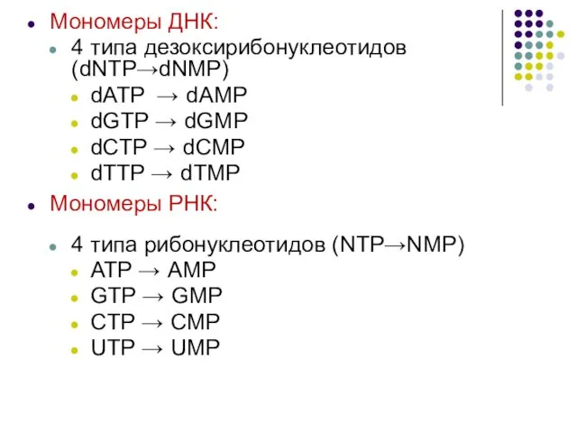 Мономеры ДНК: 4 типа дезоксирибонуклеотидов (dNTP→dNMP) dATP → dAMP dGTP →