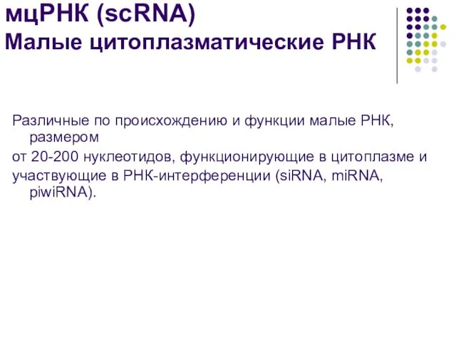 мцРНК (scRNA) Малые цитоплазматические РНК Различные по происхождению и функции малые