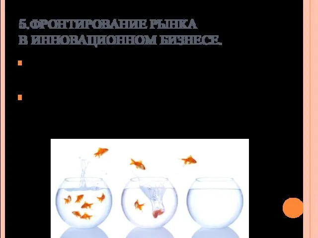 5.ФРОНТИРОВАНИЕ РЫНКА В ИННОВАЦИОННОМ БИЗНЕСЕ. Фронтирование рынка или фронтинг (от англ.