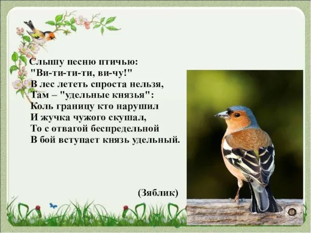 Слышу песню птичью: "Ви-ти-ти-ти, ви-чу!" В лес лететь спроста нельзя, Там