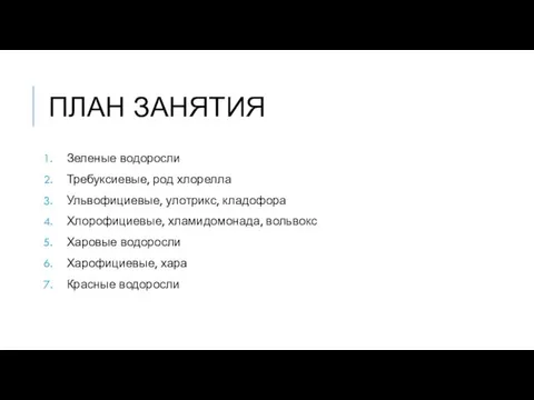 ПЛАН ЗАНЯТИЯ Зеленые водоросли Требуксиевые, род хлорелла Ульвофициевые, улотрикс, кладофора Хлорофициевые,