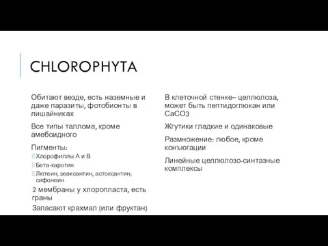 CHLOROPHYTA Обитают везде, есть наземные и даже паразиты, фотобионты в лишайниках