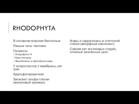 RHODOPHYTA В основном морские бентосные Разные типы таллома Пигменты Хлорофилл А