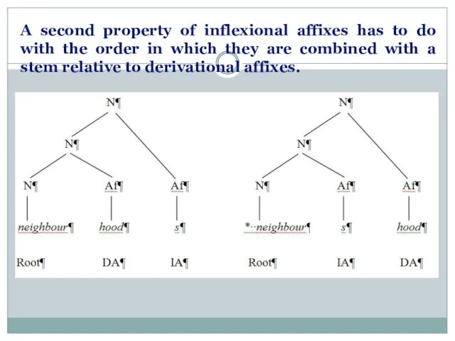 A second property of inflexional affixes has to do with the