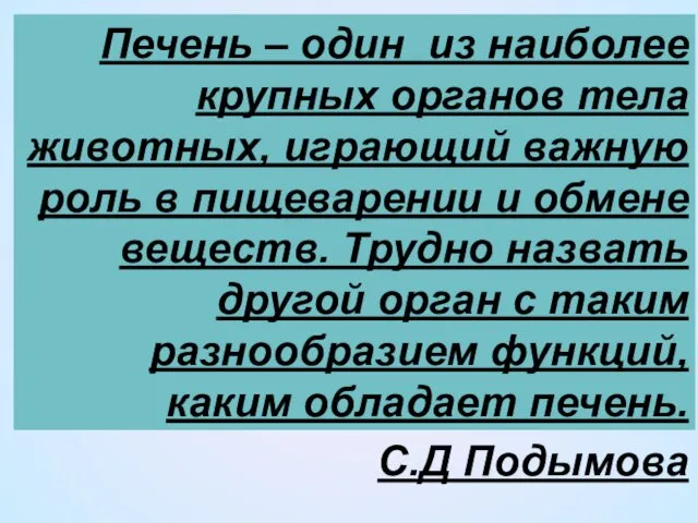 Печень – один из наиболее крупных органов тела животных, играющий важную