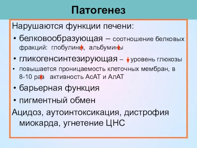 Патогенез Нарушаются функции печени: белковообразующая – соотношение белковых фракций: глобулины, альбумины