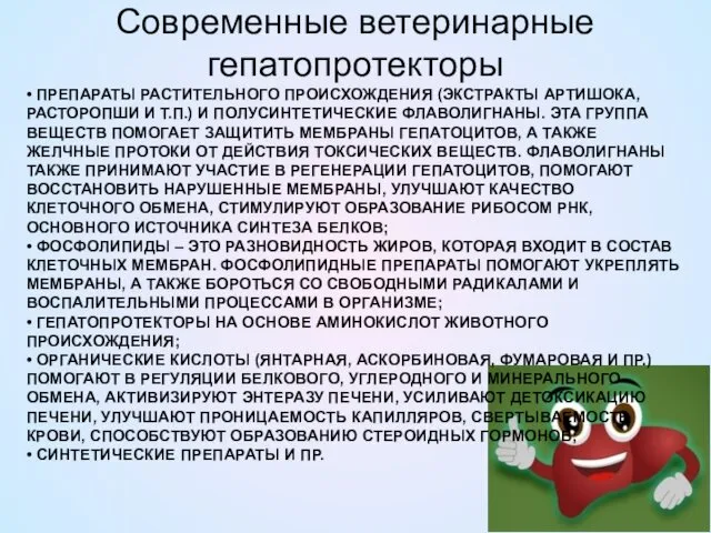 • ПРЕПАРАТЫ РАСТИТЕЛЬНОГО ПРОИСХОЖДЕНИЯ (ЭКСТРАКТЫ АРТИШОКА, РАСТОРОПШИ И Т.П.) И ПОЛУСИНТЕТИЧЕСКИЕ