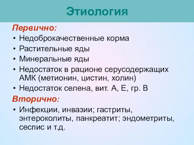 Этиология Первично: Недоброкачественные корма Растительные яды Минеральные яды Недостаток в рационе