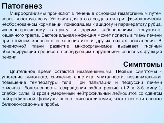 Патогенез Микроорганизмы проникают в печень в основном гематогенным путем через воротную