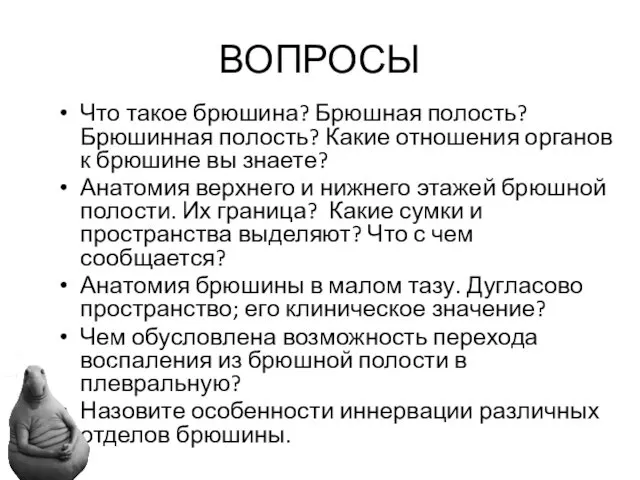 ВОПРОСЫ Что такое брюшина? Брюшная полость? Брюшинная полость? Какие отношения органов