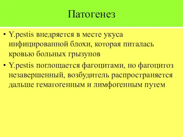 Патогенез Y.pestis внедряется в месте укуса инфицированной блохи, которая питалась кровью