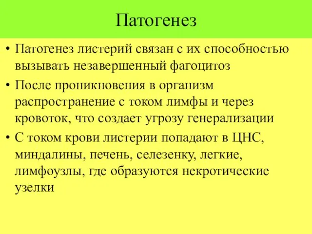 Патогенез Патогенез листерий связан с их способностью вызывать незавершенный фагоцитоз После