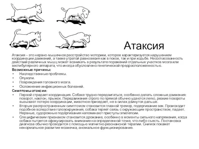 Атаксия Атаксия – это нервно-мышечное расстройство моторики, которое характеризуется нарушением координации