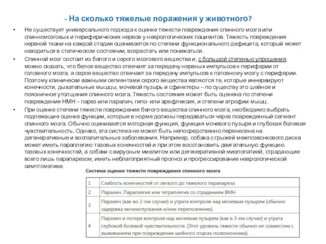 - На сколько тяжелые поражения у животного? Не существует универсального подхода