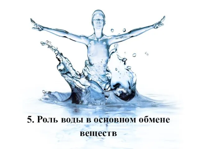 5. Роль воды в основном обмене веществ