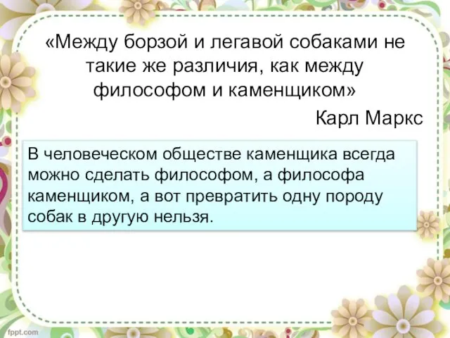 «Между борзой и легавой собаками не такие же различия, как между