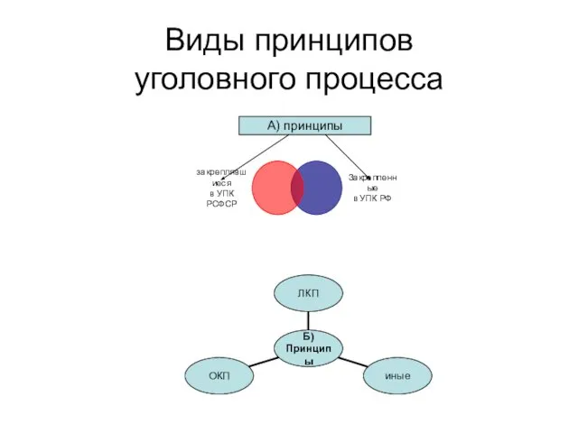 Виды принципов уголовного процесса А) принципы