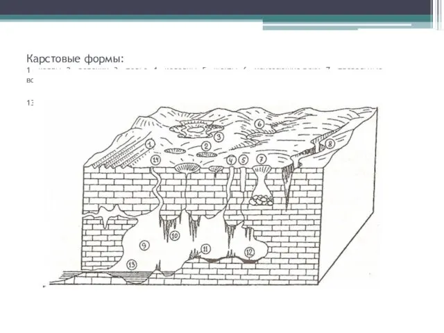 Карстовые формы: 1 – карры, 2 – воронки, 3 – полье,