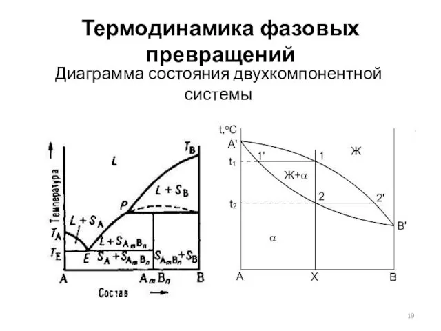 Термодинамика фазовых превращений Диаграмма состояния двухкомпонентной системы