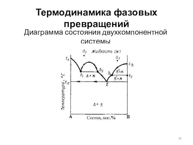 Термодинамика фазовых превращений Диаграмма состояния двухкомпонентной системы