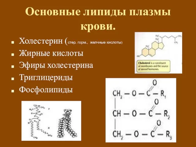 Основные липиды плазмы крови. Холестерин (стер. горм., желчные кислоты) Жирные кислоты Эфиры холестерина Триглицериды Фосфолипиды