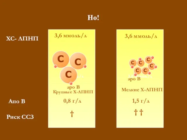 Но! 3,6 ммоль/л 3,6 ммоль/л Мелкие Х-ЛПНП 1,5 г/л † †