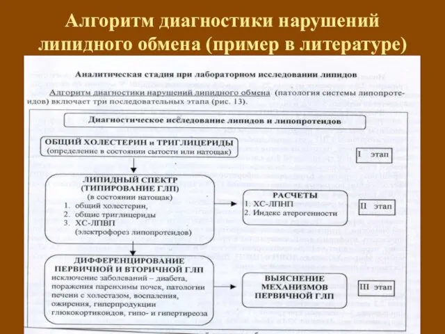 Алгоритм диагностики нарушений липидного обмена (пример в литературе)