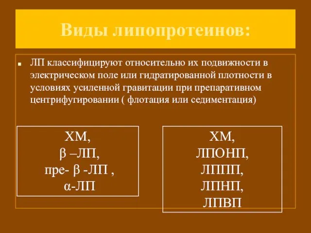 Виды липопротеинов: ЛП классифицируют относительно их подвижности в электрическом поле или