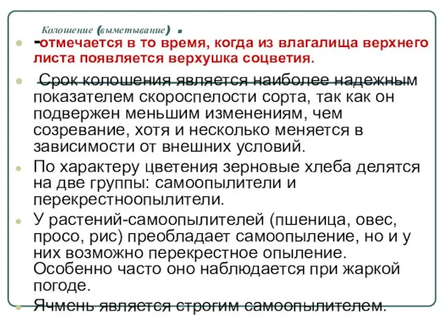 Колошение (выметывание) . -отмечается в то время, когда из влагалища верхнего