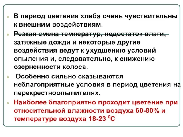 В период цветения хлеба очень чувствительны к внешним воздействиям. Резкая смена