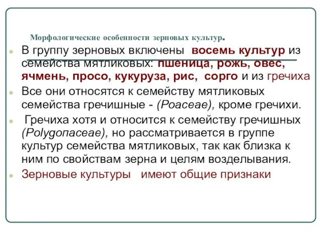 Морфологические особенности зерновых культур. В группу зерновых включены восемь культур из