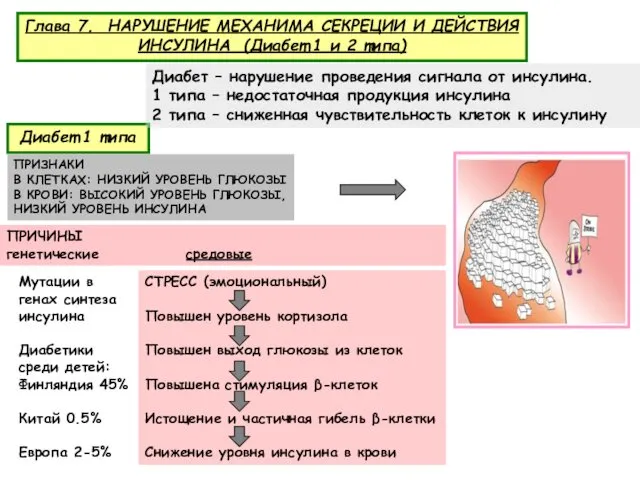 Глава 7. НАРУШЕНИЕ МЕХАНИМА СЕКРЕЦИИ И ДЕЙСТВИЯ ИНСУЛИНА (Диабет 1 и