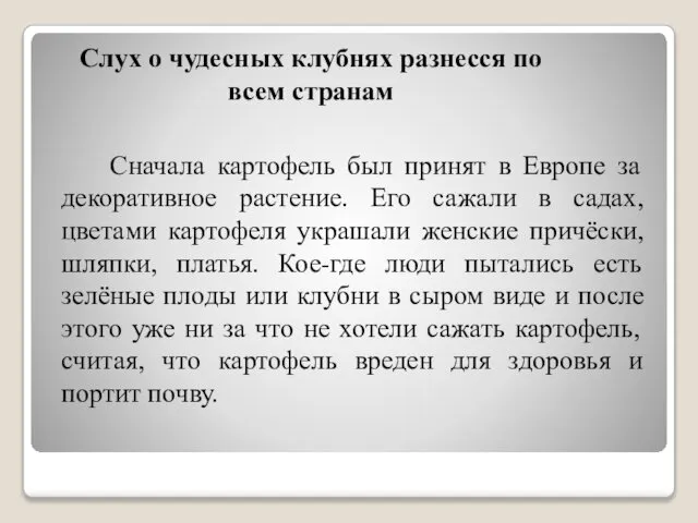 Сначала картофель был принят в Европе за декоративное растение. Его сажали