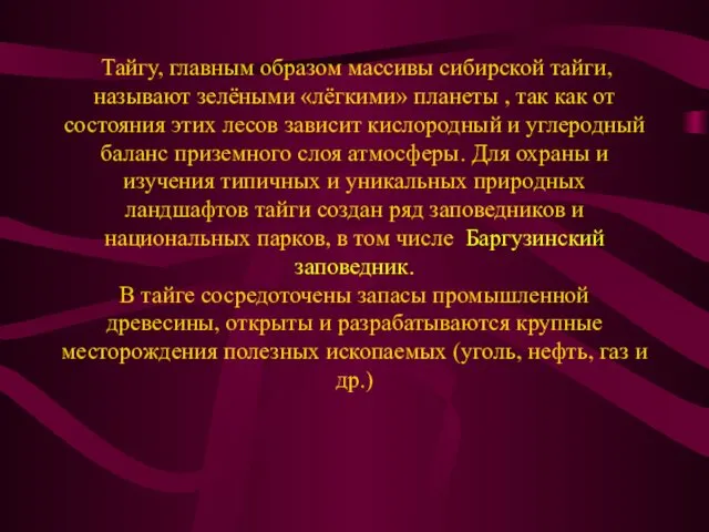 Тайгу, главным образом массивы сибирской тайги, называют зелёными «лёгкими» планеты ,