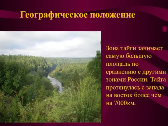 Зона тайги занимает самую большую площадь по сравнению с другими зонами