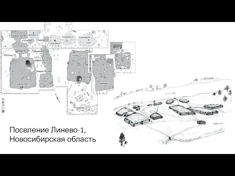 Поселение Линево-1, Новосибирская область