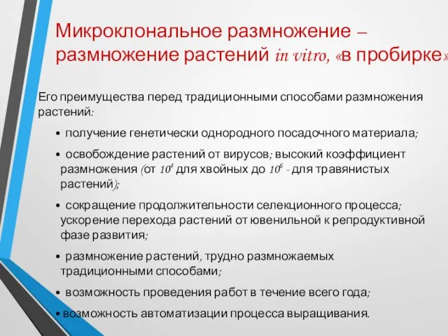 Микроклональное размножение – размножение растений in vitro, «в пробирке». Его преимущества