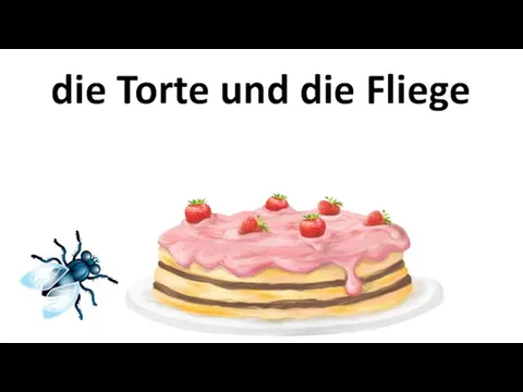 die Torte und die Fliege