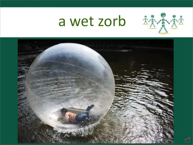 a wet zorb