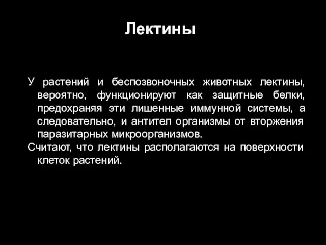 У растений и беспозвоночных животных лектины, вероятно, функционируют как защитные белки,