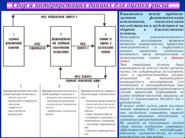 Сбор и интерпретация данных для оценки риска Взаимосвязи между предпола-гаемыми фенотипическими