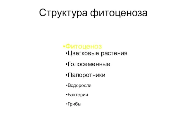 Структура фитоценоза Фитоценоз Цветковые растения Голосеменные Папоротники Водоросли Бактерии Грибы