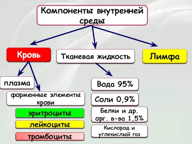 Компоненты внутренней среды Кровь Лимфа Тканевая жидкость плазма форменные элементы крови