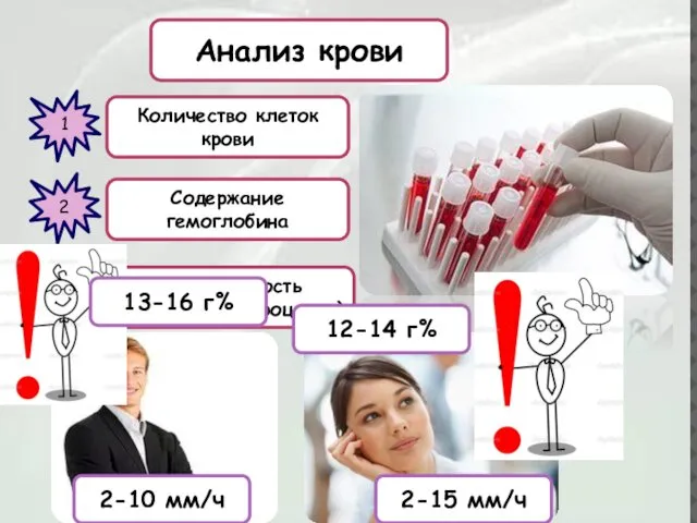 Анализ крови 1 Количество клеток крови 2 Содержание гемоглобина 3 СОЭ