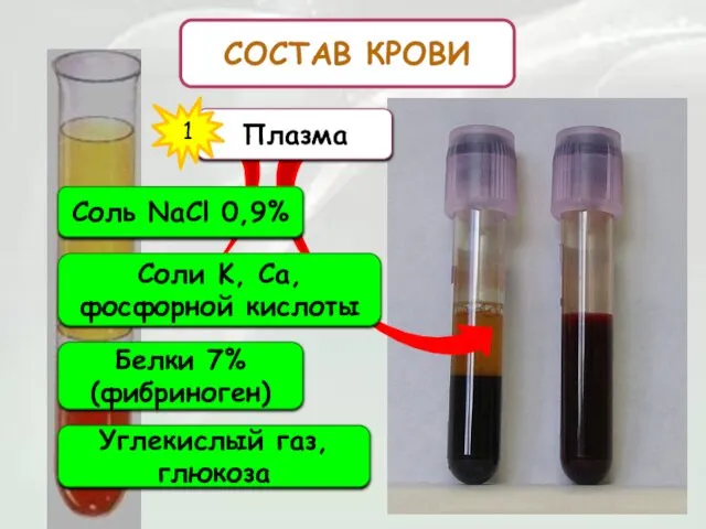 СОСТАВ КРОВИ Плазма 1 Соль NaCl 0,9% Соли K, Ca, фосфорной